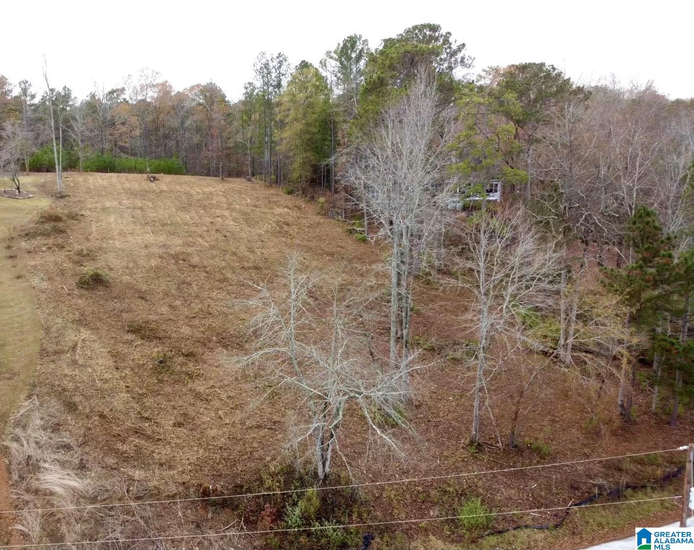Overlook Drive, Unit 3 Lineville, AL 36266 - Photo 8 of 10