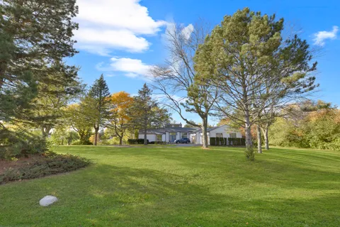 a garden view with trees