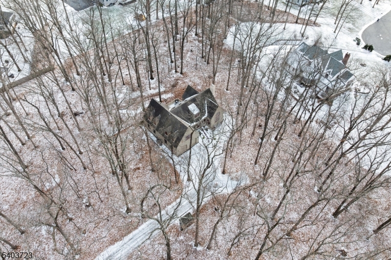 39 Dreahook Road Somerville, NJ 08876 - Photo 37 of 38