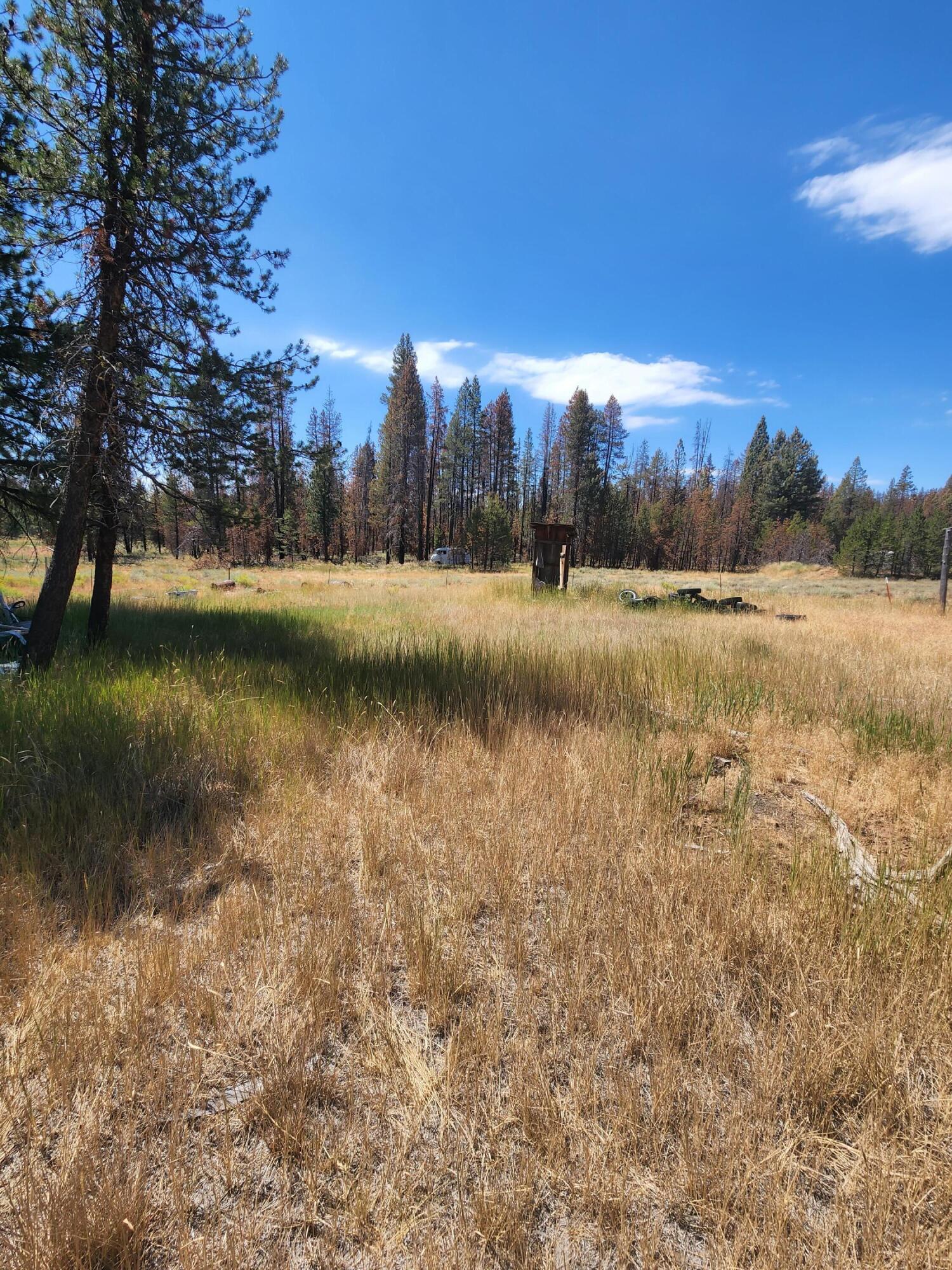 Lot 9 Red Fir Beatty, OR 97621 - Photo 2 of 8 20220808_115628