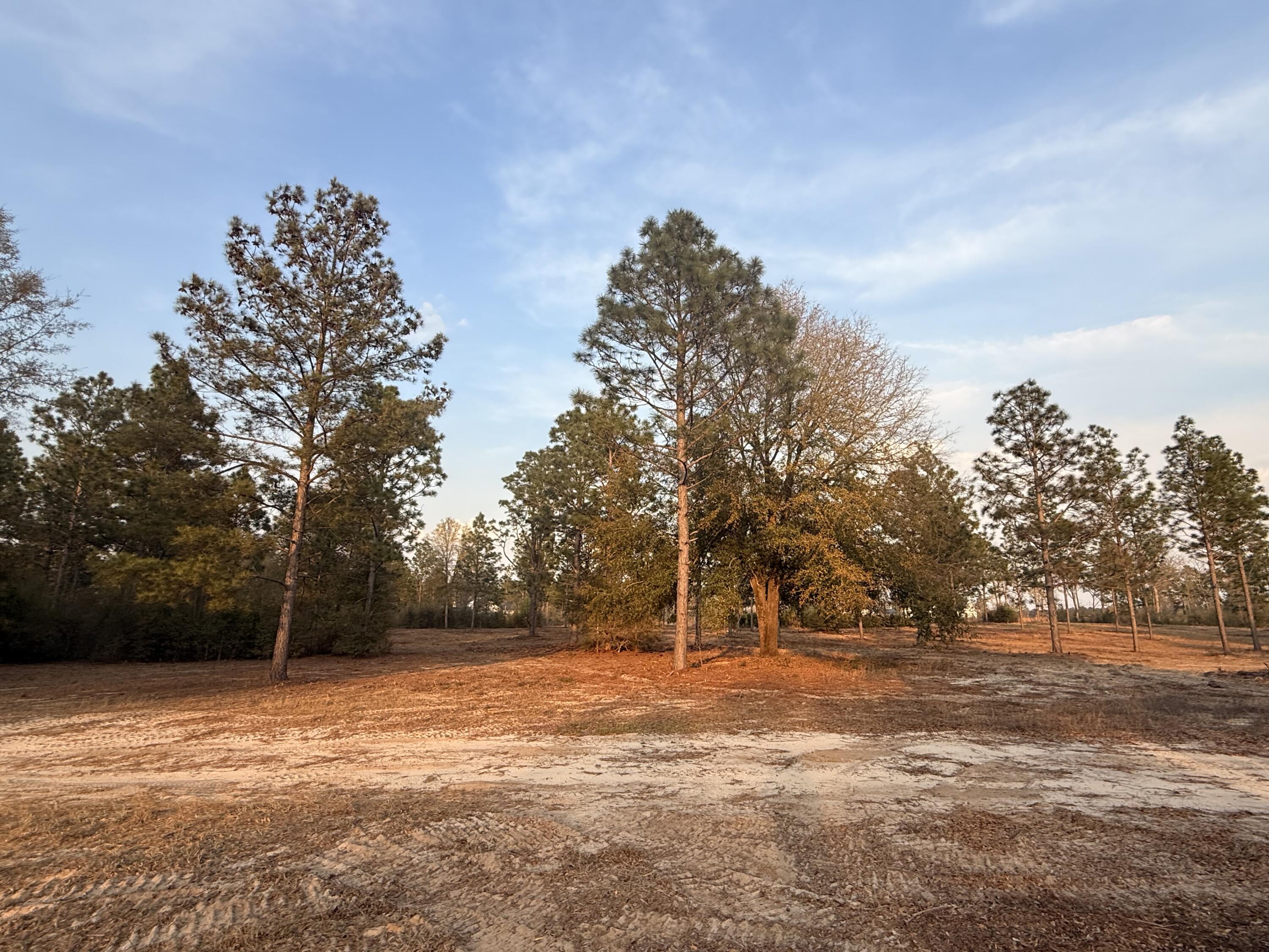 734 State Park Road Windsor, SC 29856 - Photo 9 of 12