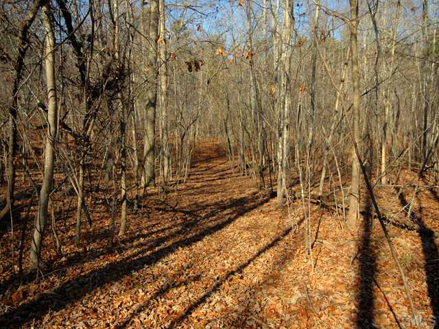 Chestnut Ridge, Unit A Efland, NC 27243 - Photo 1 of 6 Gently rolling land ideal for building dream home in a quiet country / wooded setting. Several paths, like this one, make walking land easy