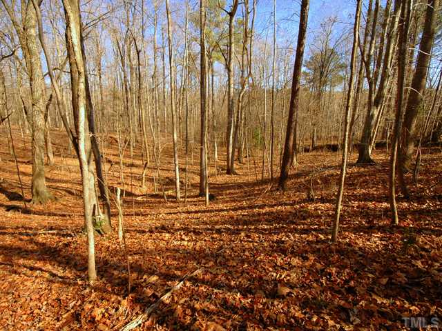Chestnut Ridge, Unit A Efland, NC 27243 - Photo 4 of 6 Pleasant sloping sites for building