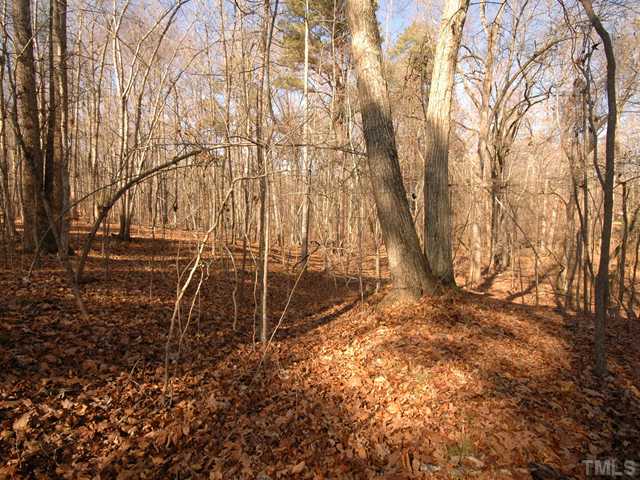 Chestnut Ridge, Unit A Efland, NC 27243 - Photo 5 of 6 Gallery Image 5