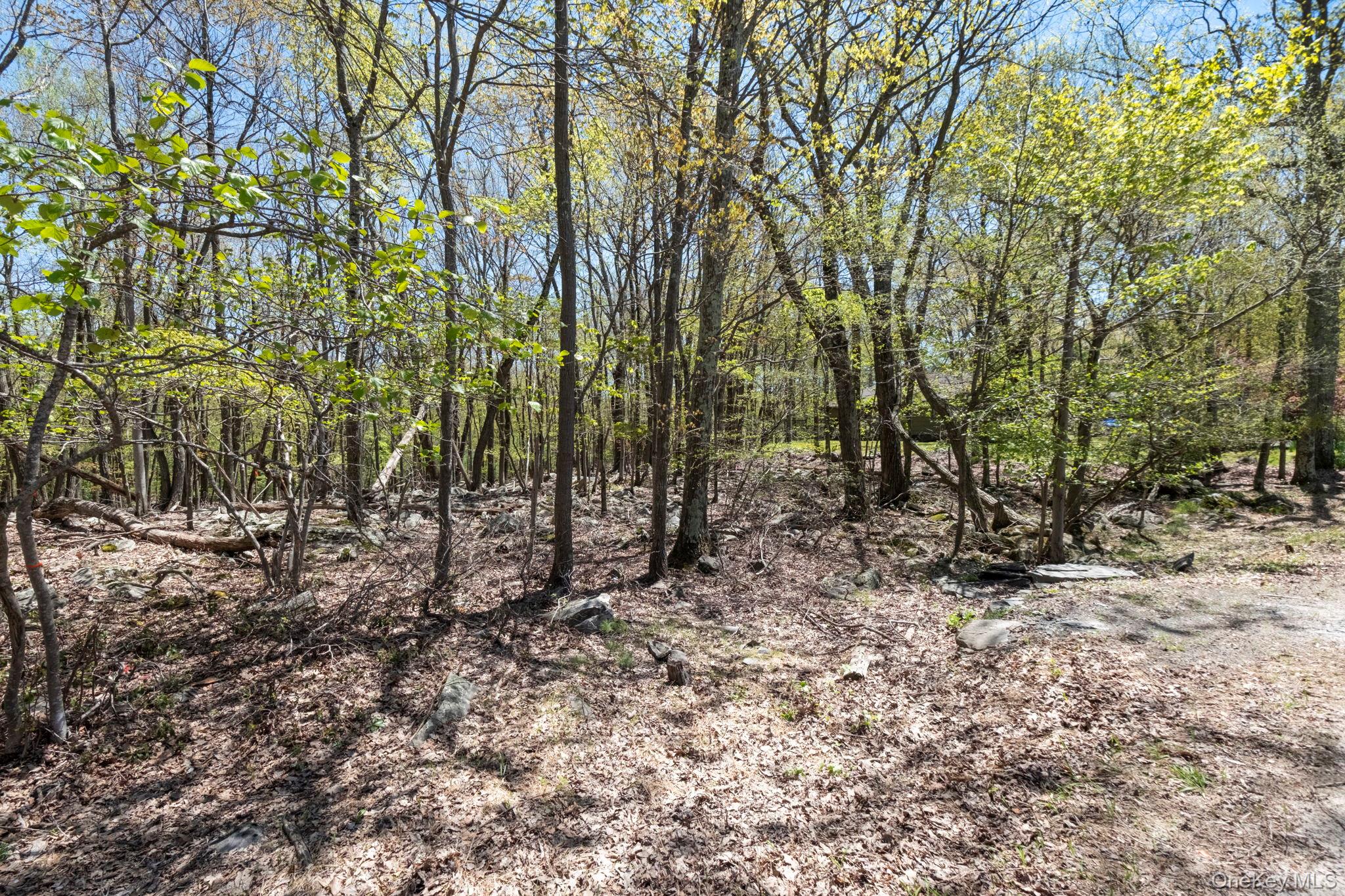 Canal Road Wurtsboro, NY 12790 - Photo 14 of 19 a view of outdoor space and tree