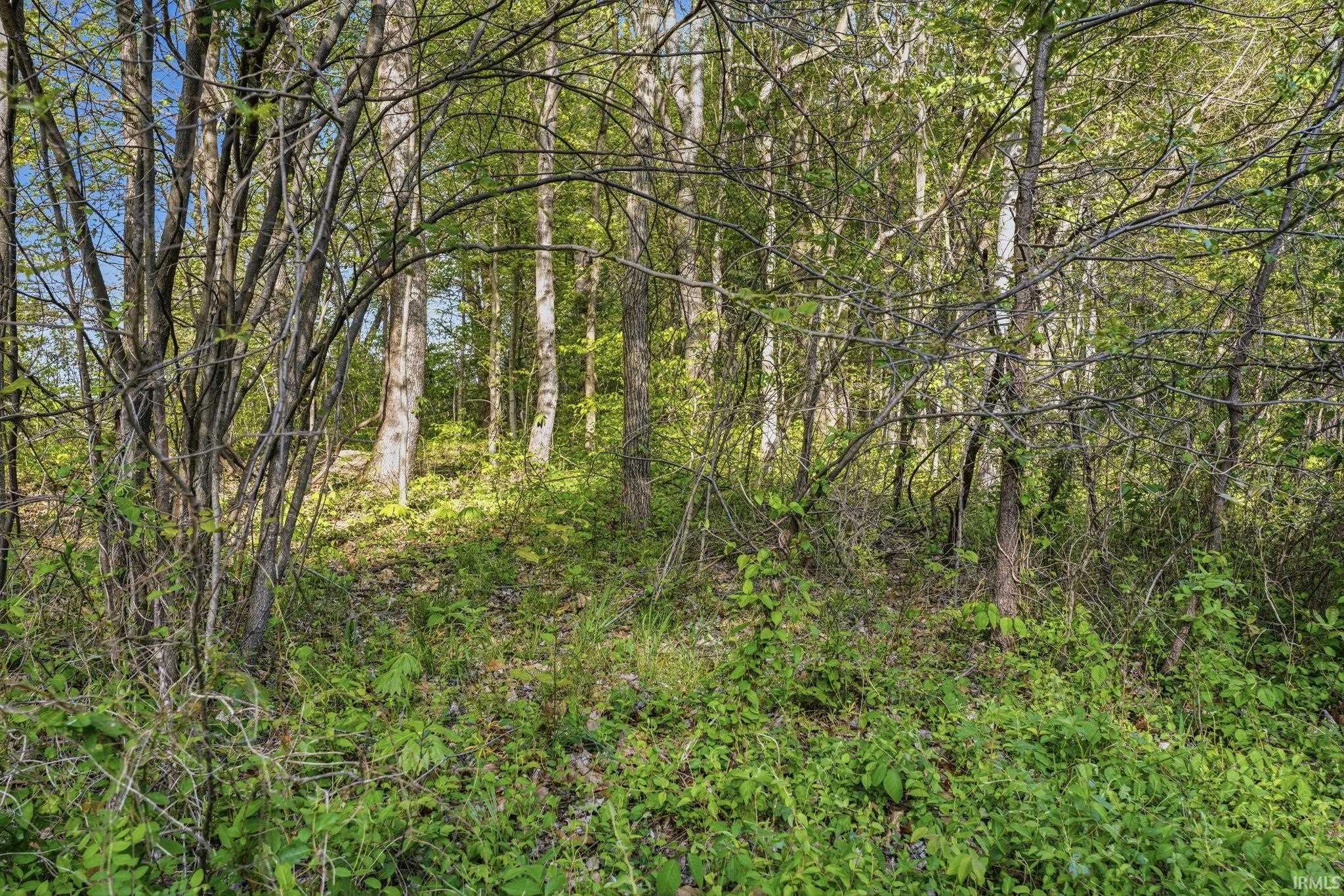 Tbd Tbd Bono Mitchell, IN 47446 - Photo 14 of 17