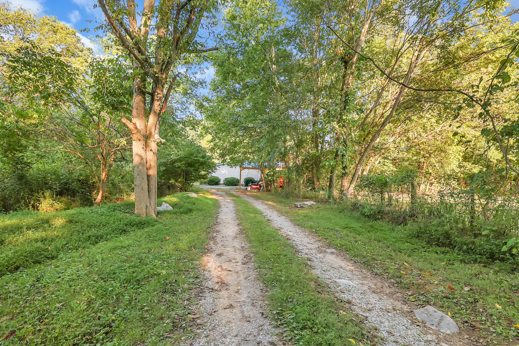 1241 Quarry Road Mount Juliet, TN 37122 - Photo 8 of 29 a view of a park with large trees
