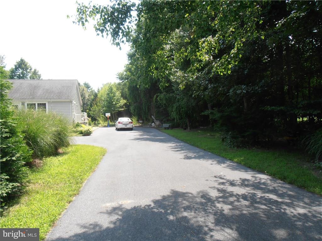 24174 Deep Branch Road Georgetown, DE 19947 - Photo 3 of 3 Gallery Image 3