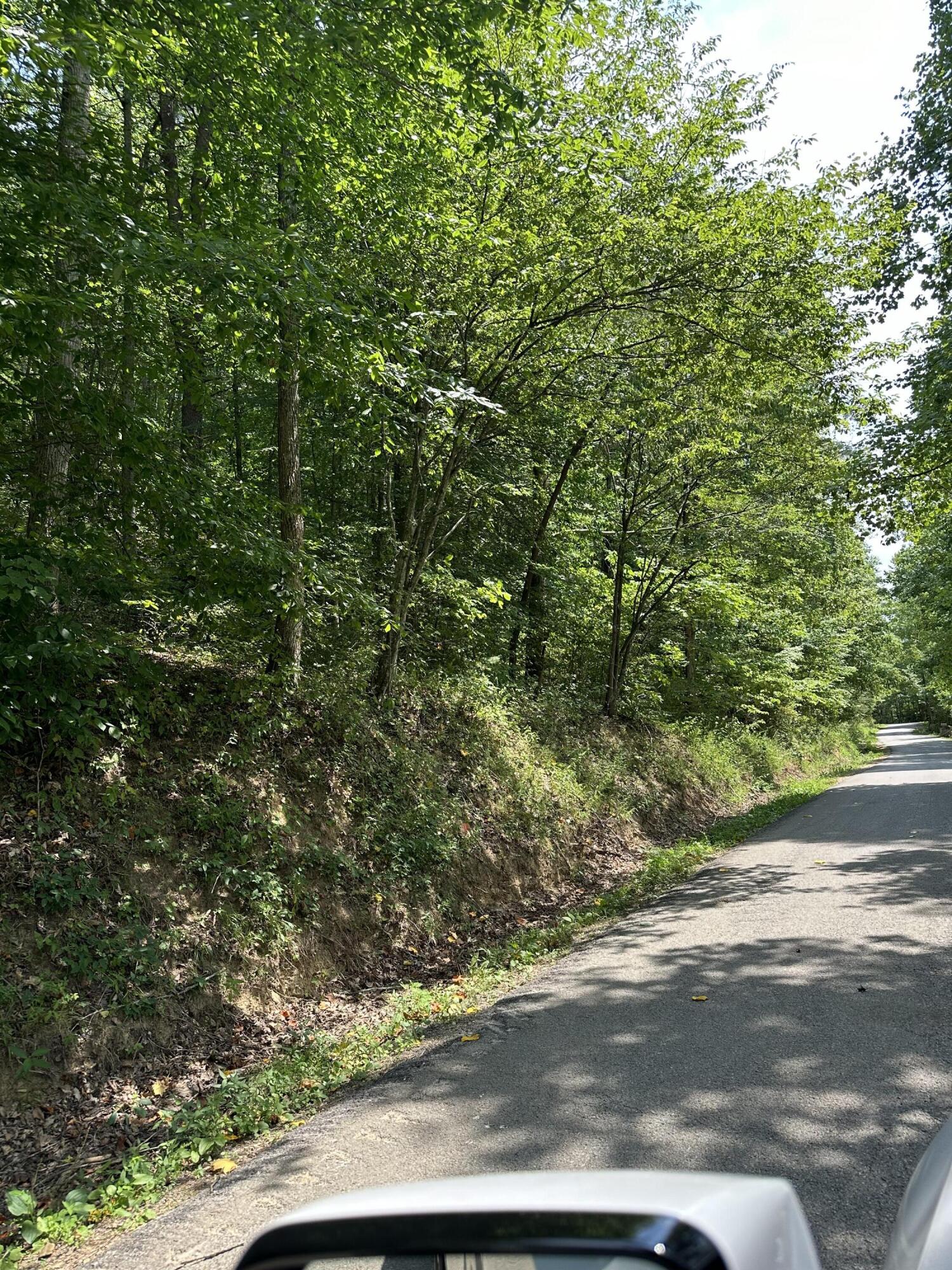 0 Collins Fork Road Manchester, KY 40962 - Photo 6 of 8 IMG_7150