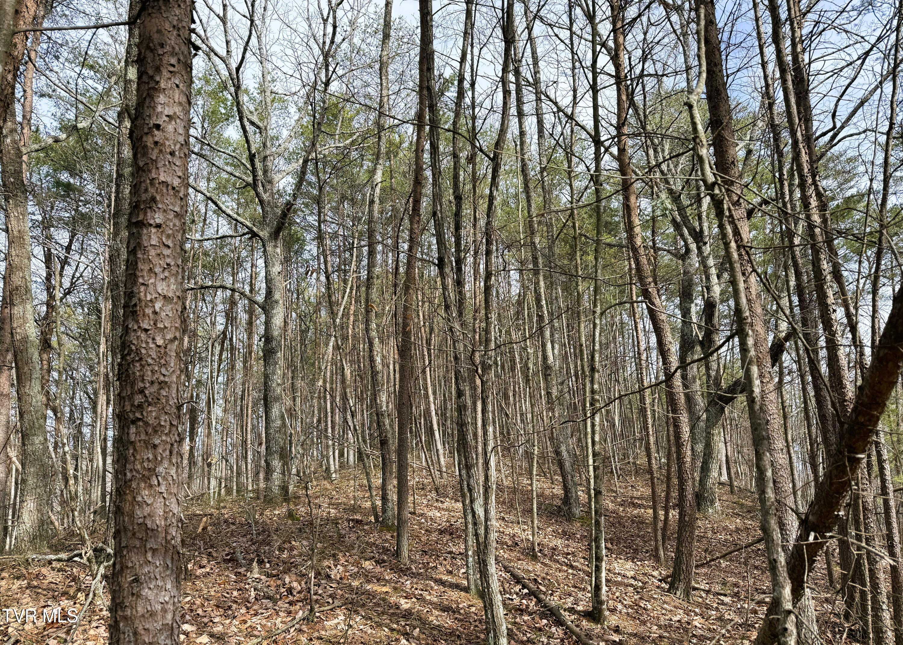 0 Speedwell Church Road, Unit 7 Bulls Gap, TN 37711 - Photo 24 of 32 21
