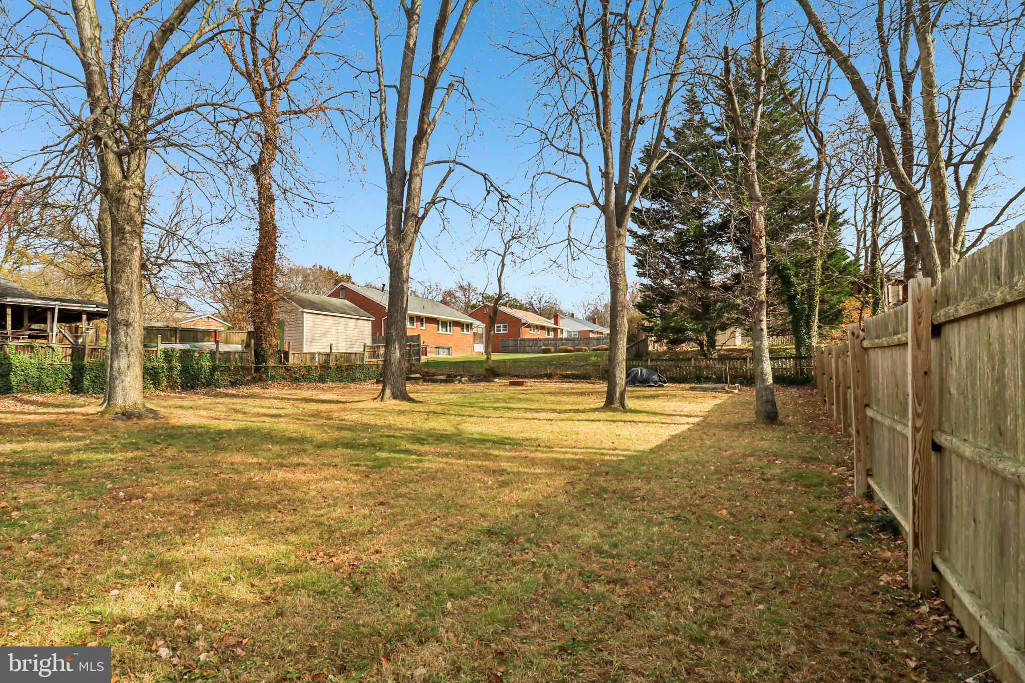 11515 Orebaugh Avenue Silver Spring, MD 20902 - Photo 60 of 69 a view of yard with tree