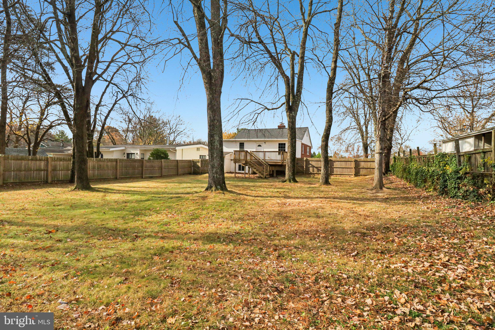 11515 Orebaugh Avenue Silver Spring, MD 20902 - Photo 63 of 69 a view of yard with trees