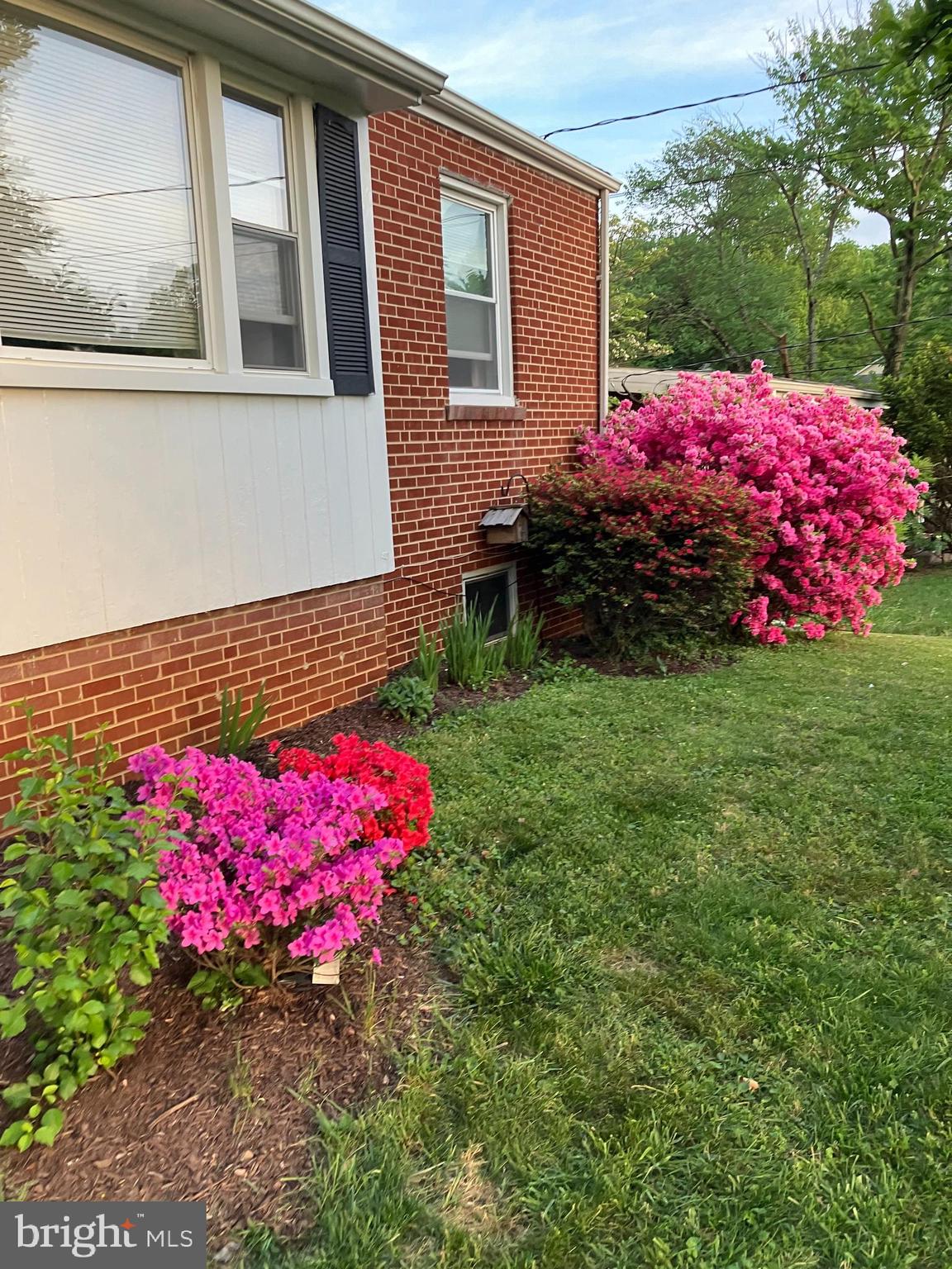 11515 Orebaugh Avenue Silver Spring, MD 20902 - Photo 64 of 69 a view of a backyard with plants and brick wall