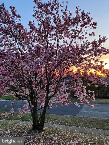 $619,900 | 11515 Orebaugh Avenue, Silver Spring, MD 20902