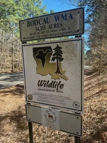 a close view of a sink