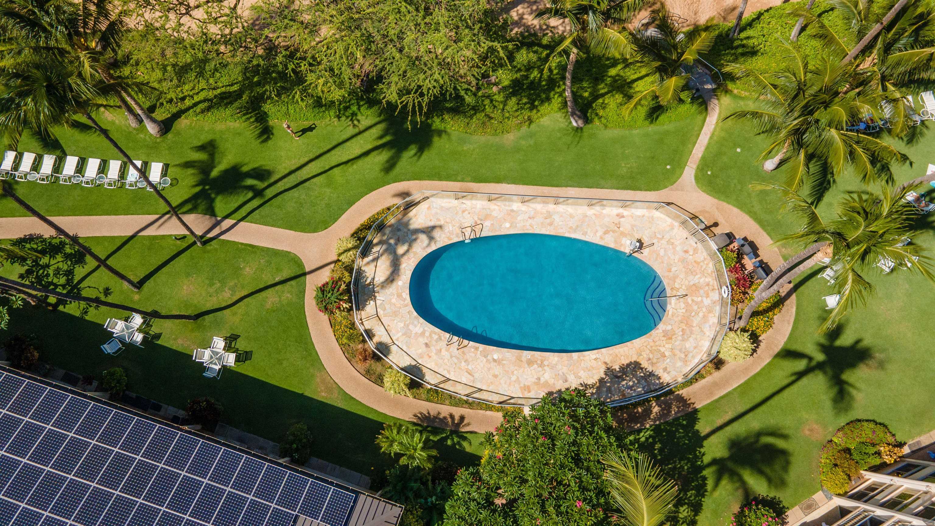 2480 South Kihei Road, Unit 702 Kihei, HI 96753 - Photo 22 of 24 an aerial view of a swimming pool