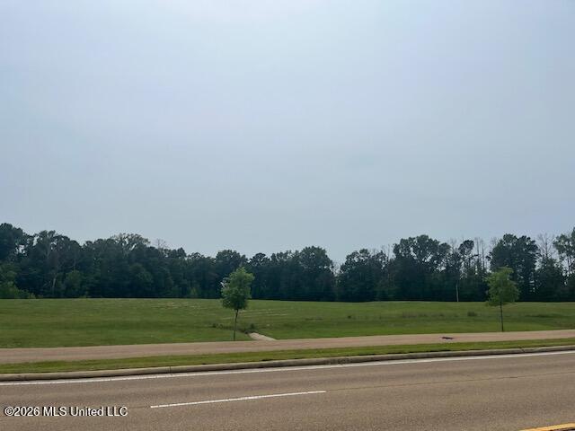 Southeast Colony Park Boulevard Ridgeland, MS 39157 - Photo 2 of 3 IMG_0133