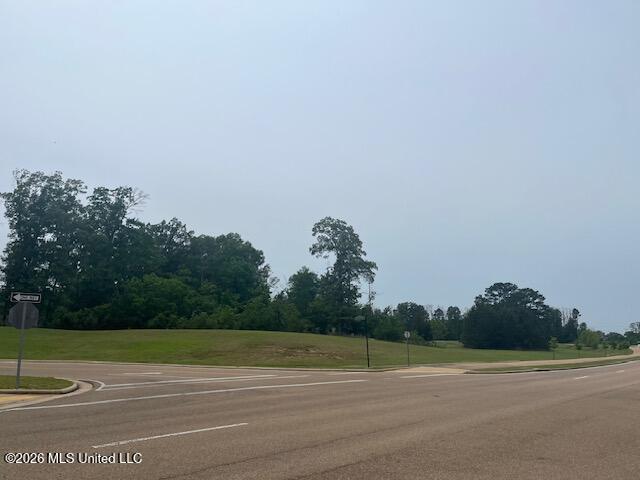 Southeast Colony Park Boulevard Ridgeland, MS 39157 - Photo 3 of 3 IMG_0132