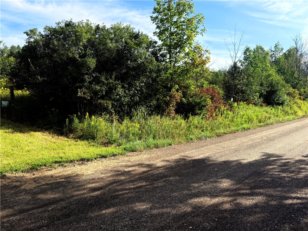 512 Fisher Road Alfred, NY 14806 - Photo 3 of 46 Entrance to 50 Acre Parcel/Roadway East
