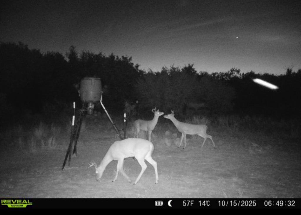 136 County Road 136, Unit 59 Ranger, TX 76470 - Photo 19 of 23