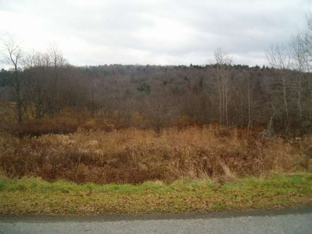 810 Center Valley Road Worcester, NY 12197 - Photo 1 of 2 Photo 1