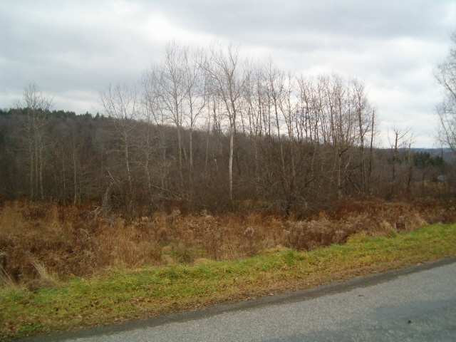 810 Center Valley Road Worcester, NY 12197 - Photo 2 of 2 Photo 2