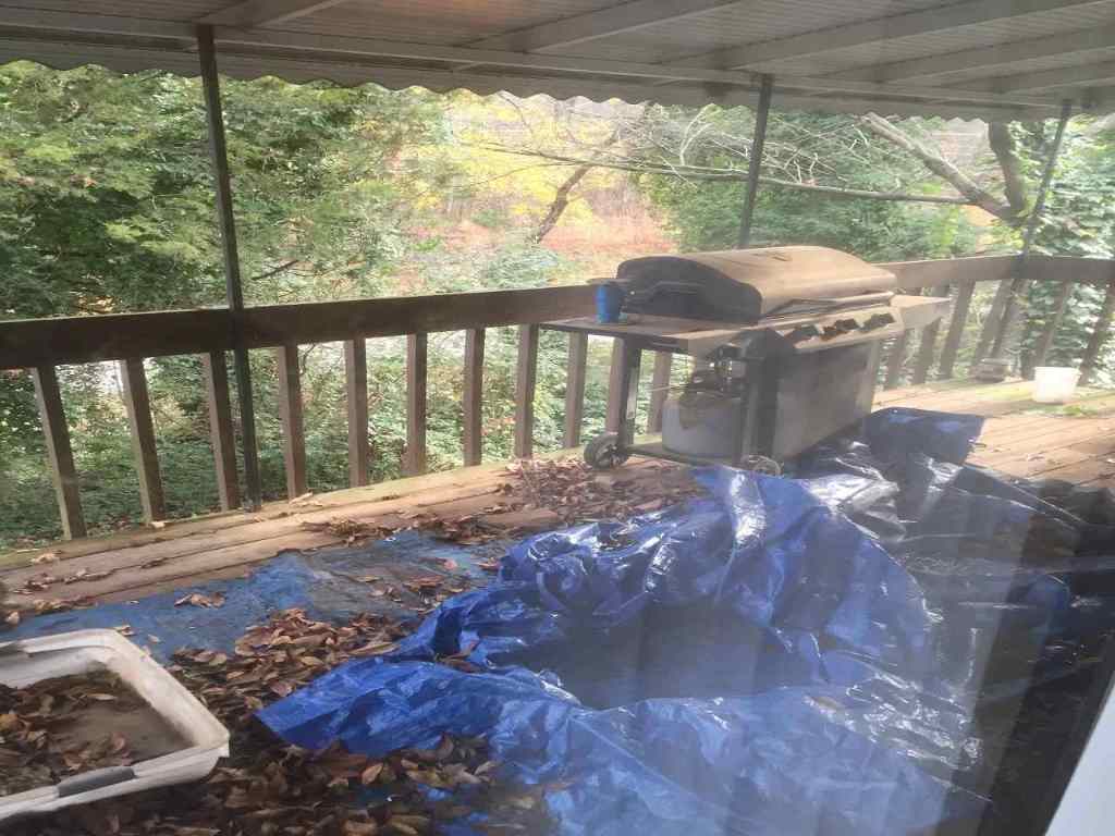 241 Mt Olivet Road Six Mile, SC 29682 - Photo 24 of 36