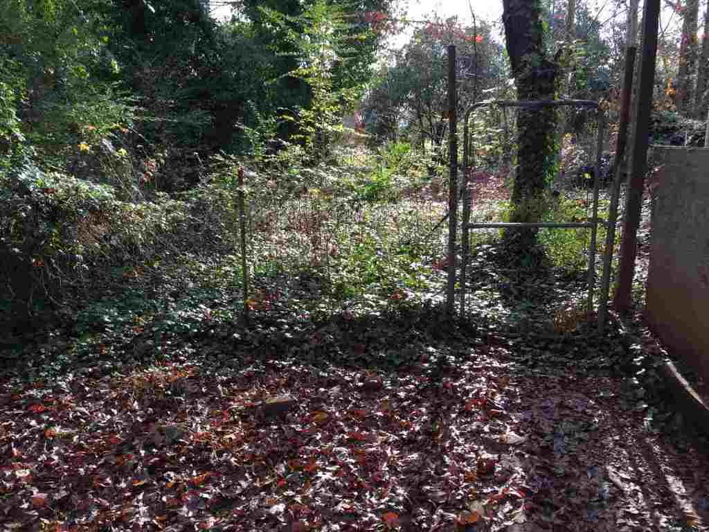 241 Mt Olivet Road Six Mile, SC 29682 - Photo 31 of 36