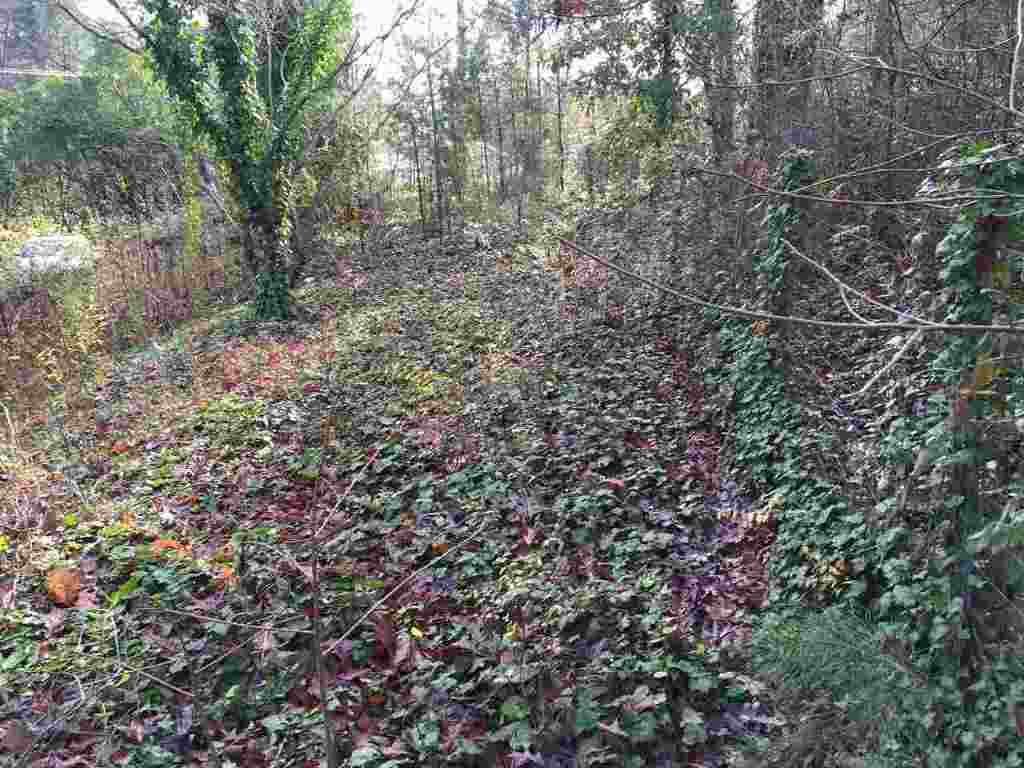 241 Mt Olivet Road Six Mile, SC 29682 - Photo 33 of 36