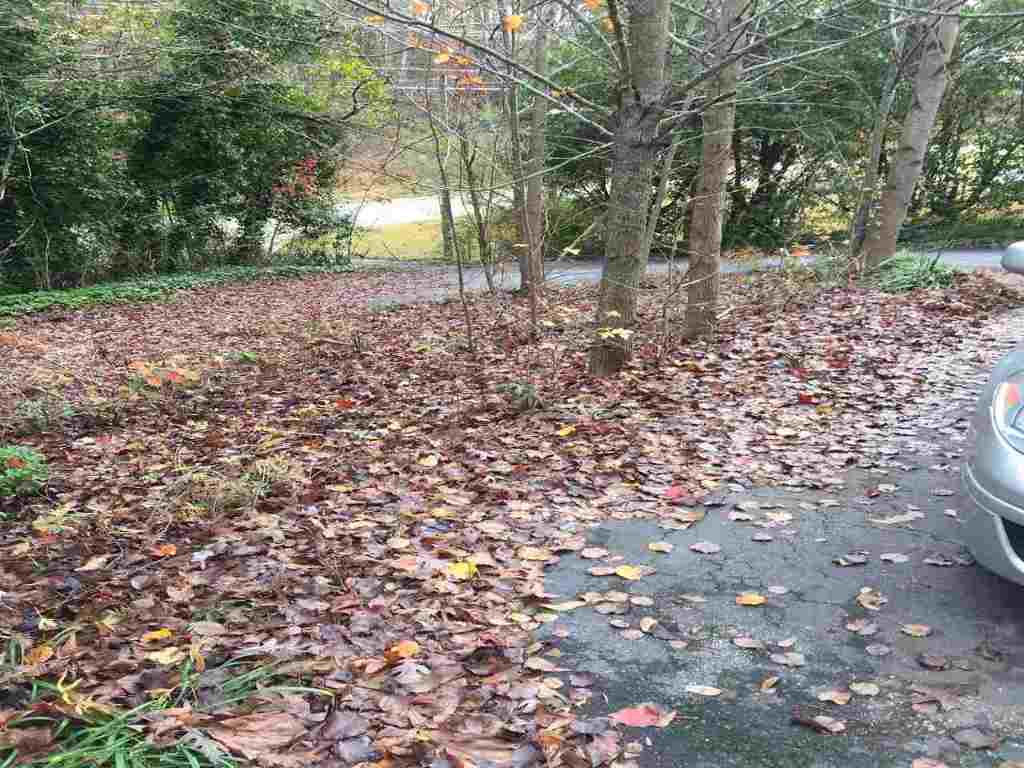 241 Mt Olivet Road Six Mile, SC 29682 - Photo 35 of 36