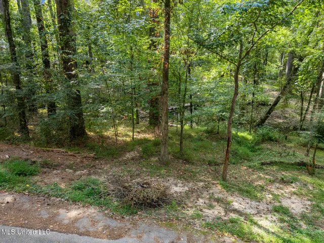 $10,000 | 0 Drexel Circle, Clinton, MS 39056