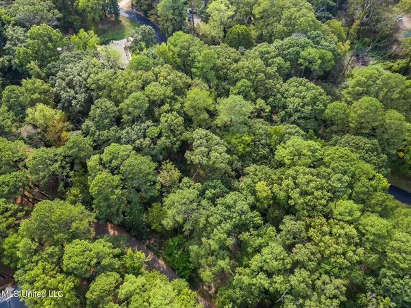 $10,000 | 0 Drexel Circle, Clinton, MS 39056