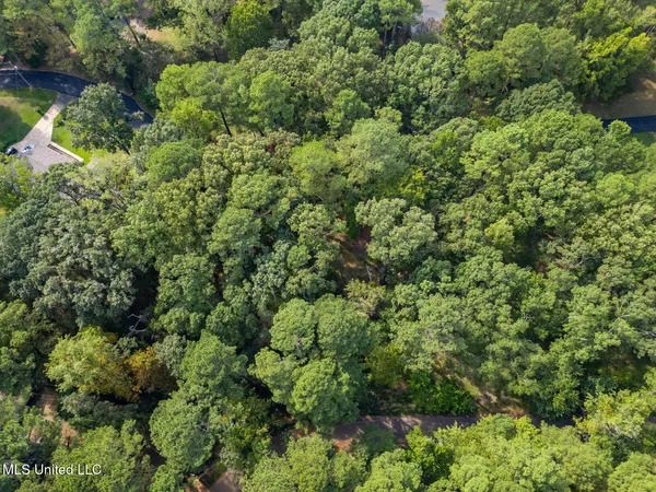 $10,000 | 0 Drexel Circle, Clinton, MS 39056