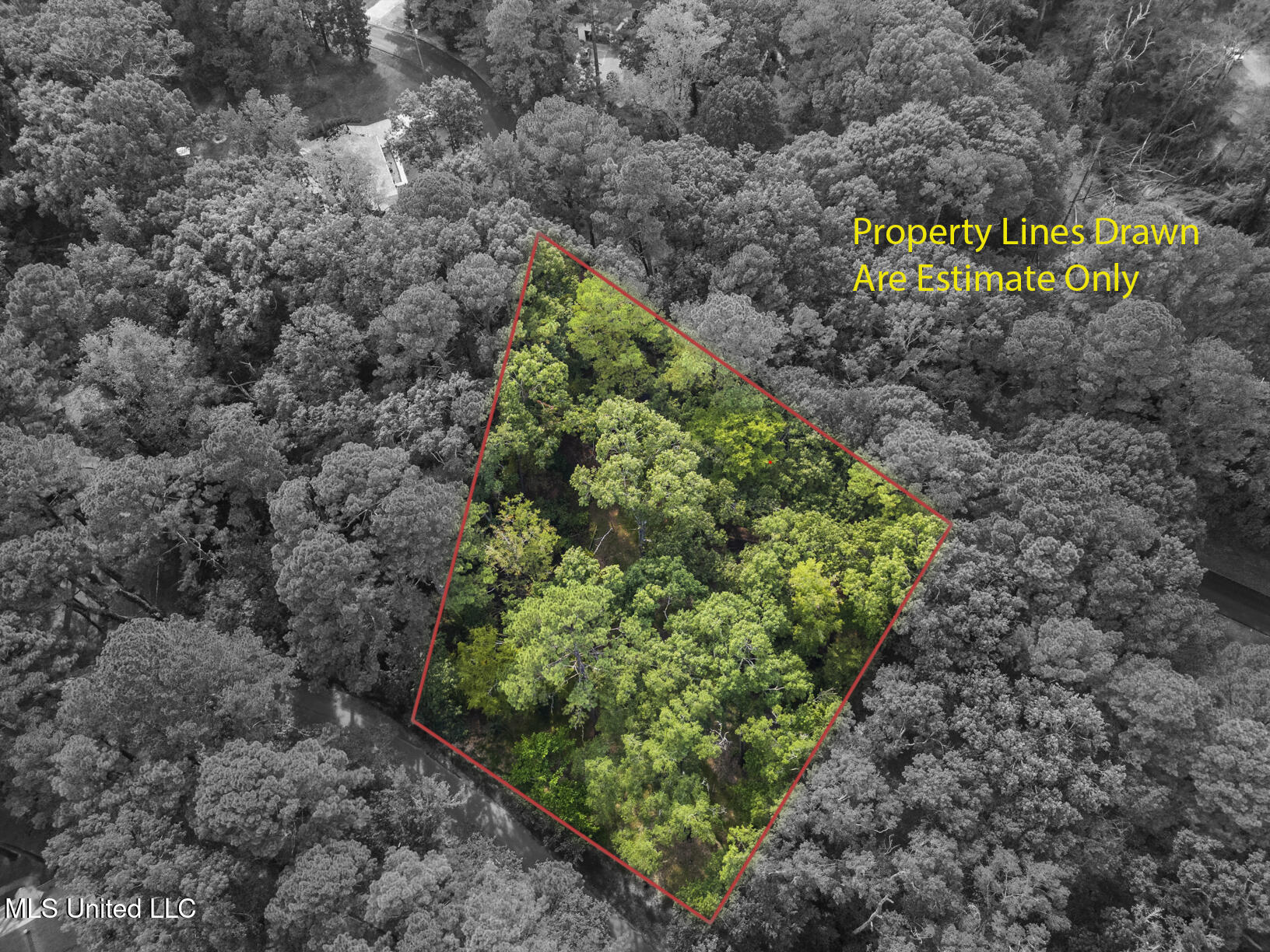 0 Drexel Circle Clinton, MS 39056 - Photo 4 of 4 drexel drone outline-1