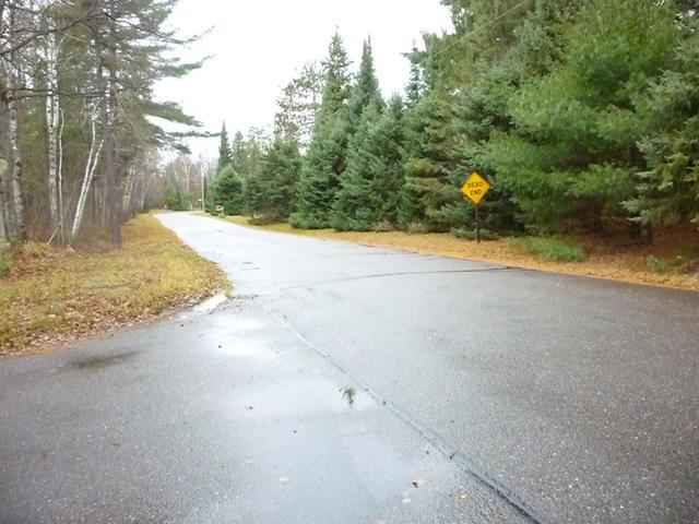 On Glyn Road, Unit LOT 2 Woodruff, WI 54568 - Photo 4 of 5 Gallery Image 4