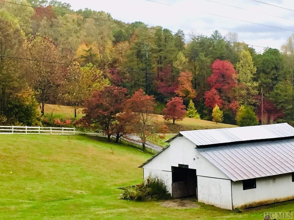 50 Clinton Vinson Road Otto, NC 28763 - Photo 4 of 63 Gallery Image 4
