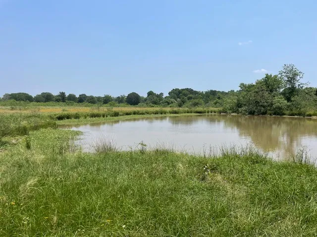 a big yard with lots of green space