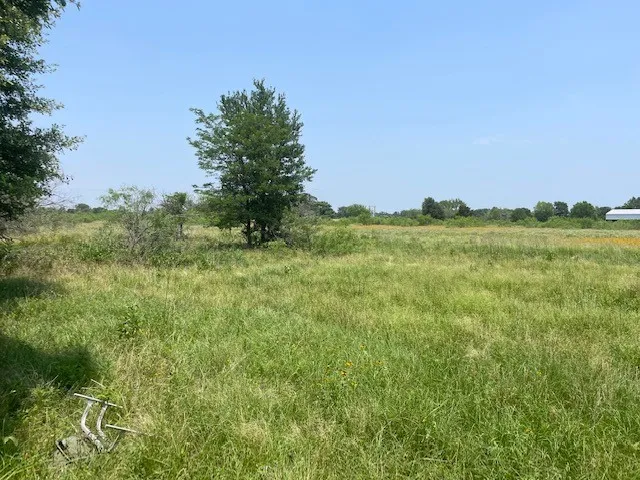 a view of a lake with a yard and large trees