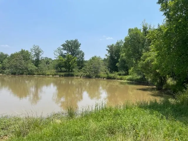 a view of an ocean and a mountain