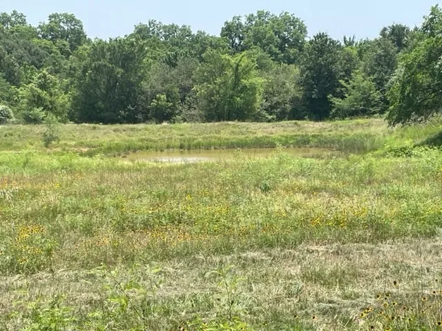 a view of a field with trees in the background