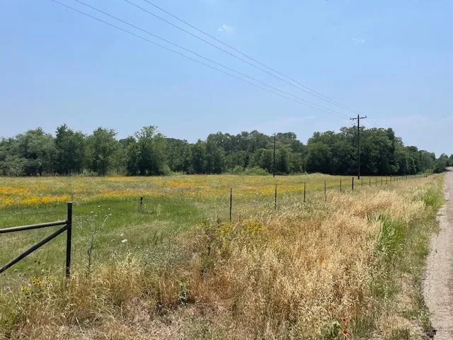 a view of a yard with an trees