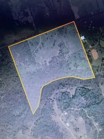 a view of a dry yard