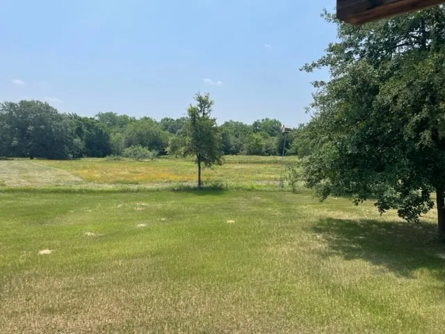 a view of an ocean from a yard