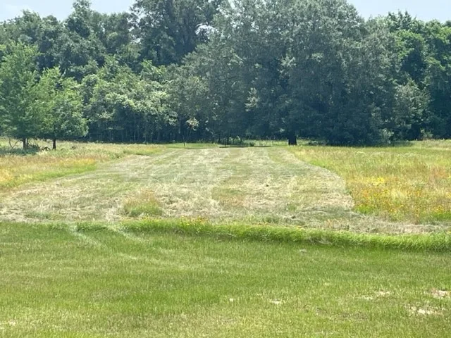 a view of a yard with a house