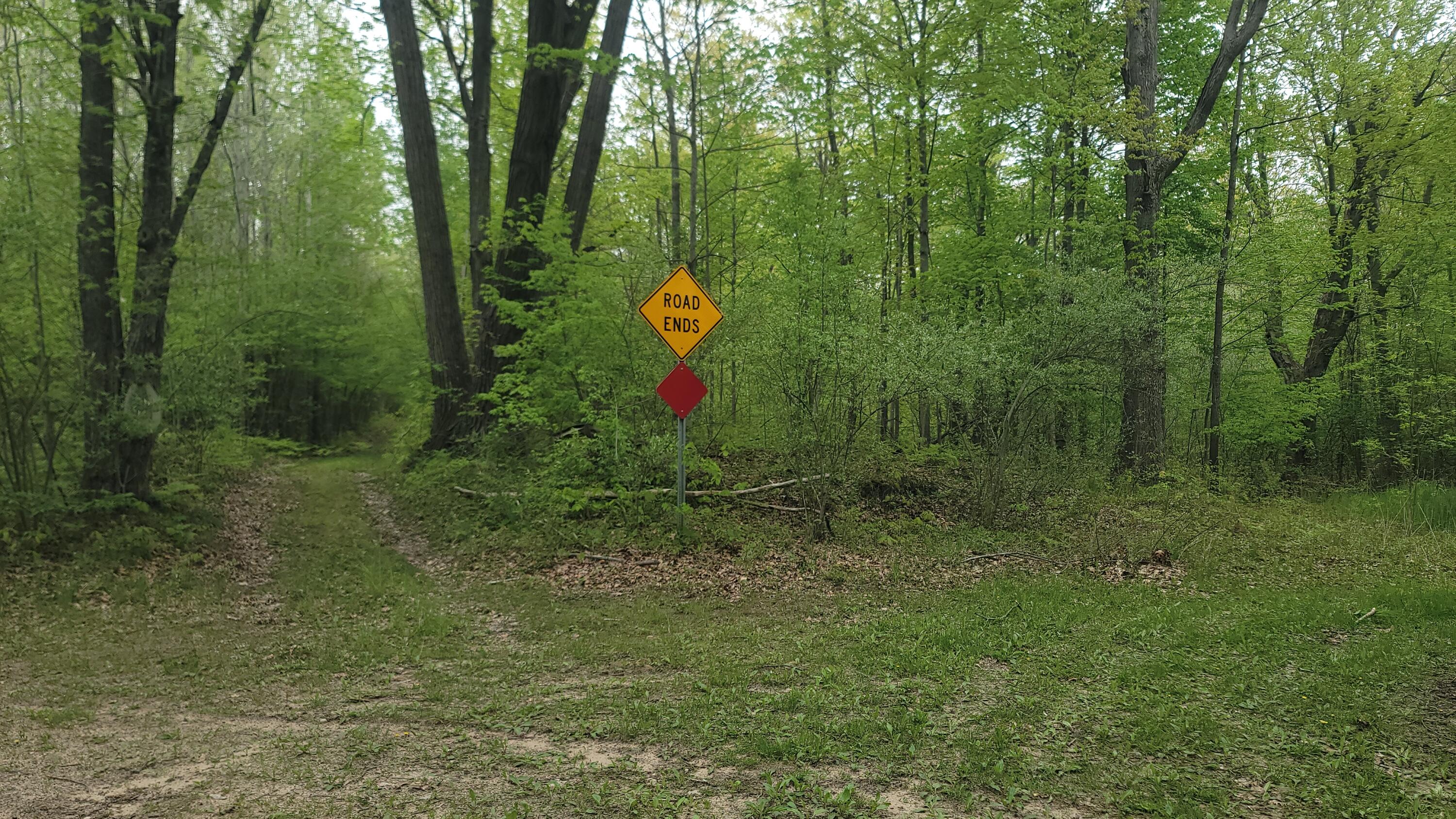 0 Cassidy Road Gladwin, MI 48624 - Photo 1 of 11 20250519_135351