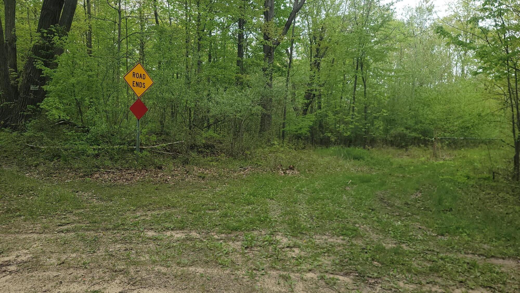 0 Cassidy Road Gladwin, MI 48624 - Photo 2 of 11 20250519_135345