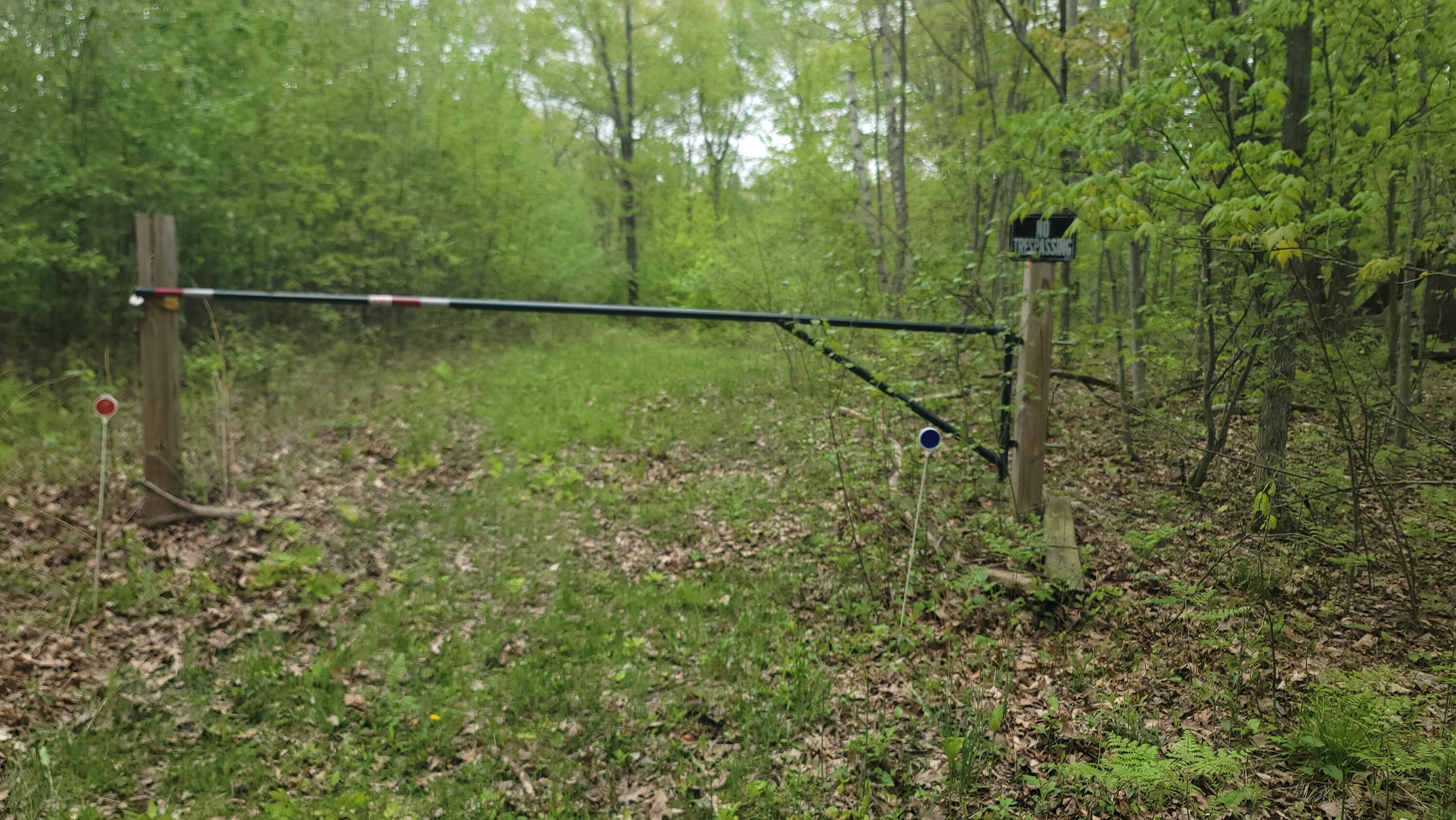 0 Cassidy Road Gladwin, MI 48624 - Photo 3 of 11 20250519_134956