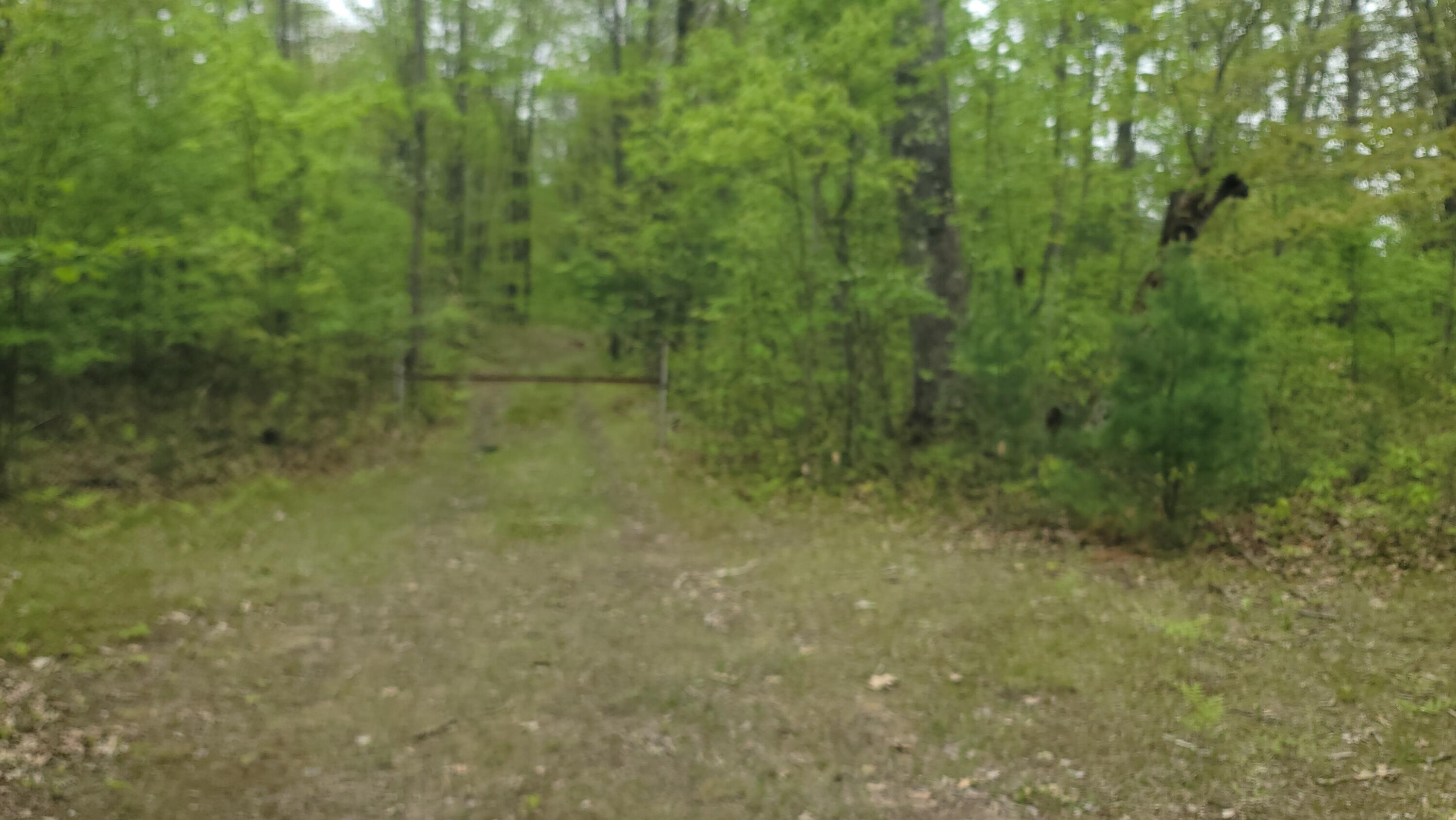 0 Cassidy Road Gladwin, MI 48624 - Photo 4 of 11 20250519_135652