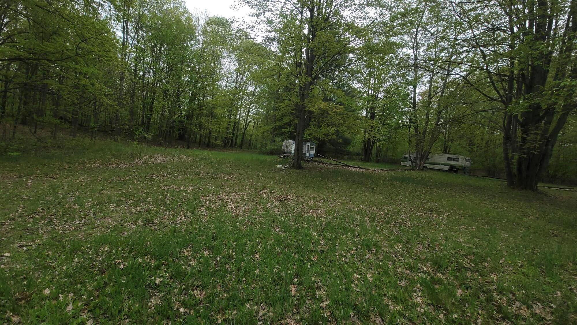 0 Cassidy Road Gladwin, MI 48624 - Photo 5 of 11 20250519_125308