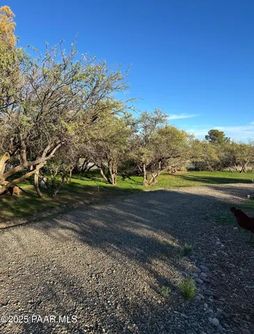 a house view with a backyard
